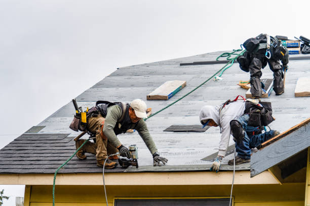 Professional Roofing technician working in Drake, CO
